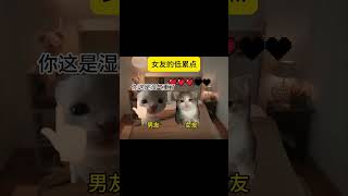 女友的低累点 #猫meme #内容过于真实 #情侣