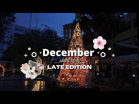 HerDEARDIARY | DECEMBER | short vlog late upload