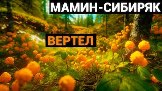 Дмитрий Наркисович Мамин-Сибиряк: Вертел (аудиокнига)
