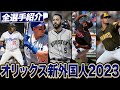 【オリックス新外国人2023】オリックス新外国人をわかりやすく解説！！ワールドシリーズ優勝に貢献した男がやってくる⁉︎