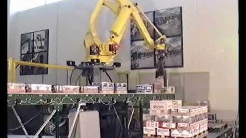 Model ROP Random Order Palletizer Video by Automated Cells and Equipment