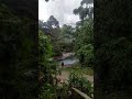 #oxapampa #viral #viralshorts #viralvideo #nature #travel