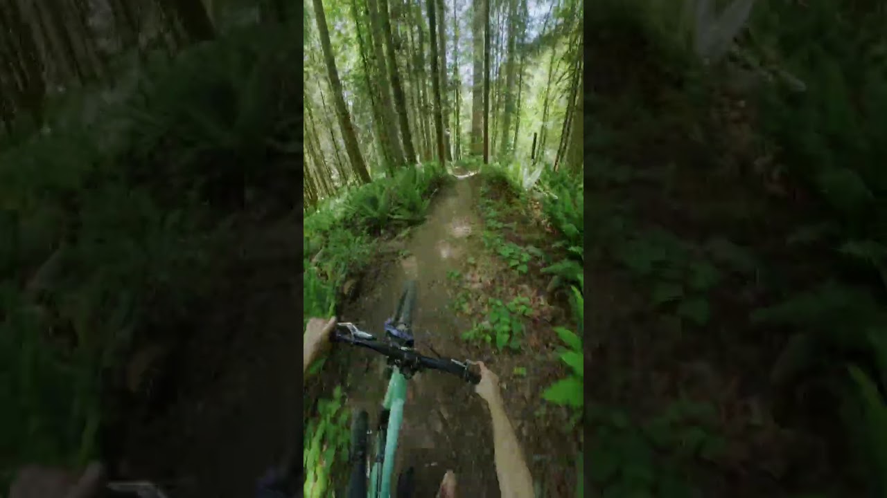 Mind the gap 🚧 ⚠️ #longlivechainsaw #prevost #rideordie #downhillmtb #vancouverisland #mtb