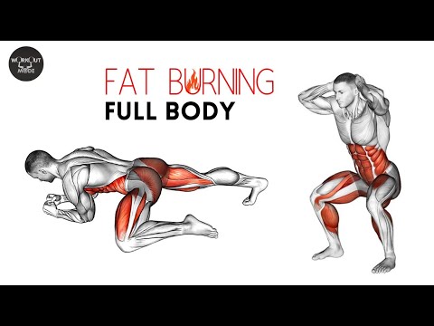 10 Minute Fat Burning Workout For Total Beginners | Full body Weight ...