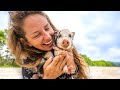 SWIMMING with a BABY PIG! Boat Life 🐷(Expedition Drenched S1 Ep.56)