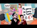 Simulador de Profesora con mi Papá | Mi perro se comió la Tarea 🤣 | Juegos Karim Juega