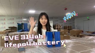 2024 new EVE MB 31 314ah high capacity lifepo4 battery in stock!!! CONTACT ME!