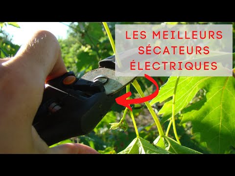 Top 3 : Sécateur électrique 2022