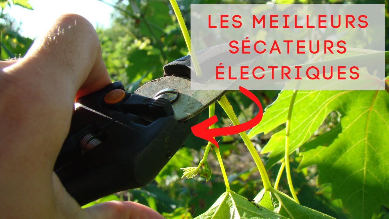 Notre test de KOMOK Sécateur Professionnel électrique sans Fil – Secateur  Electrique : Comparatif, Guide d'achat & Tests