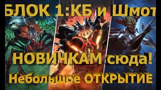 Raid SL- Блок 1: Клан босс и шмот. Открытие, ну чучь чуть )