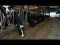 Donal Kavanagh Dairy Farming in Baltinglass, Wicklow