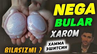 картинка: Булар харом билиб олинг ❗~Абдуллох Домла ~Abdulloh Domla |ilmnuri #yangimaruza #abdullohdomla #rek 