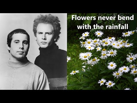 Simon & Garfunkel Flowers never bend with the rainfall (with lyrics)