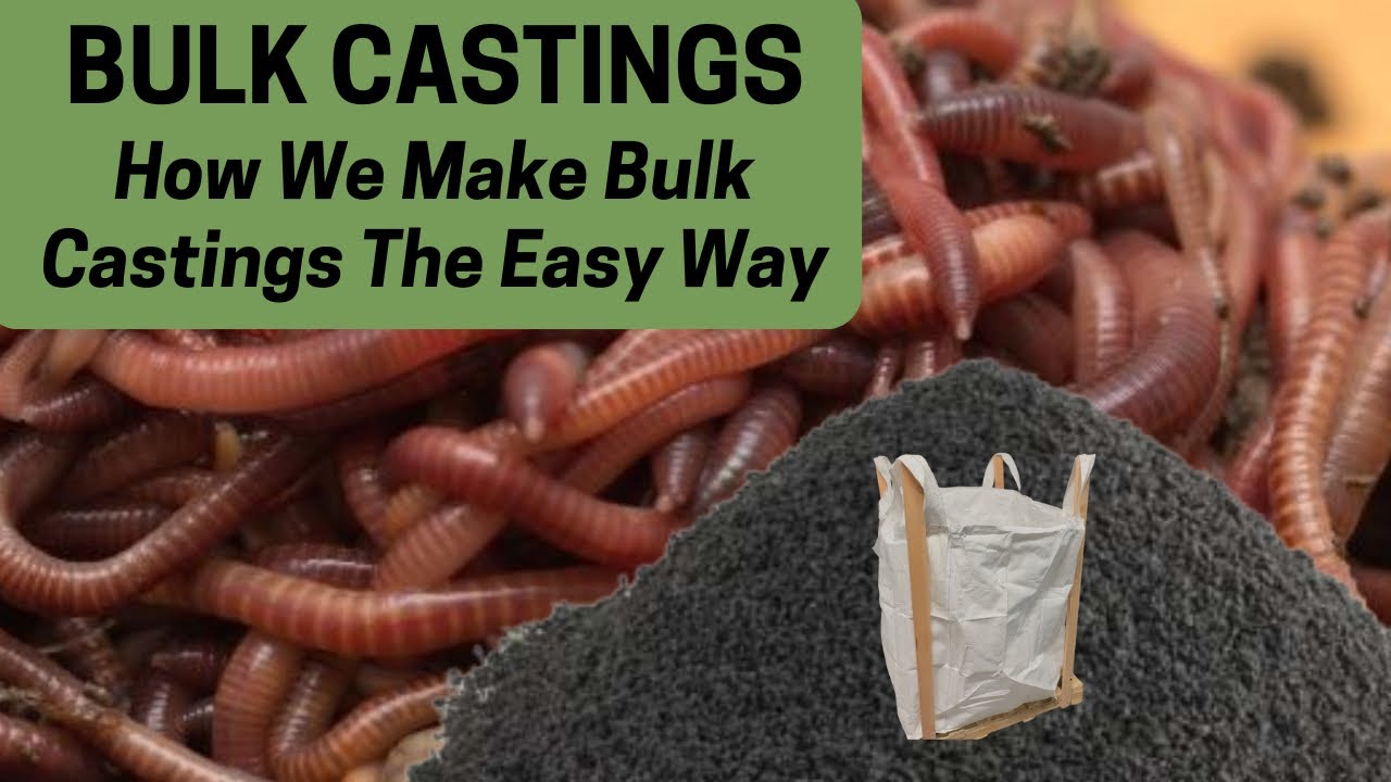 Утилизация вермикомпоста в больших количествах — простой способ 🪱💩