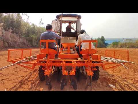 Cassava planter operation