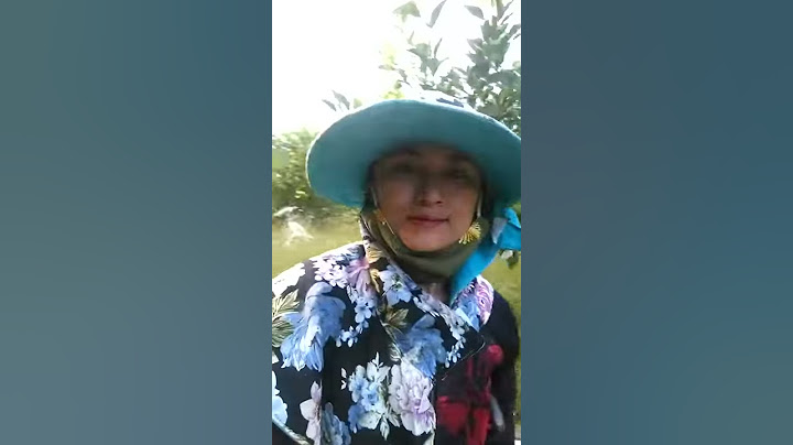 Quỳ hợp cách vinh bao nhiêu km năm 2024