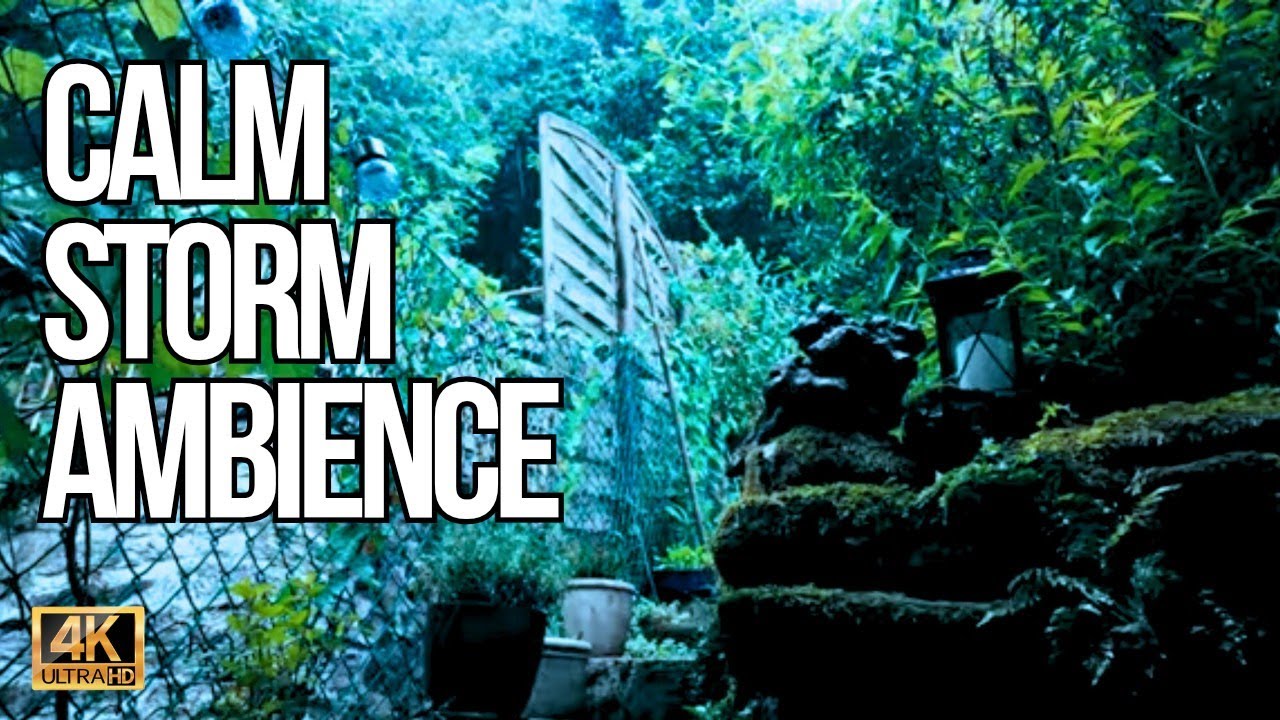 Thunder & Rain Sounds 1.5 Hours | Sleep, Study, Relax | Calm Storm Ambience 