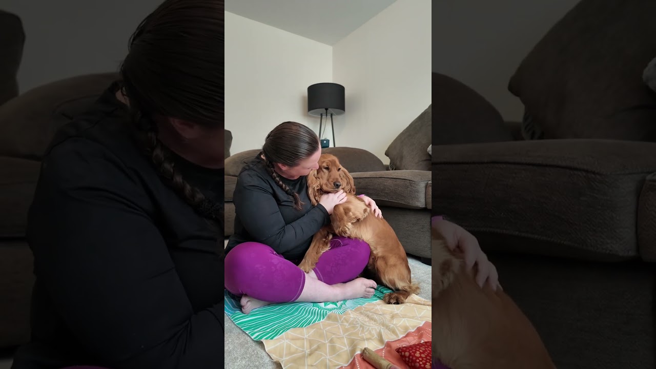 Tuning fork demo for dogs  