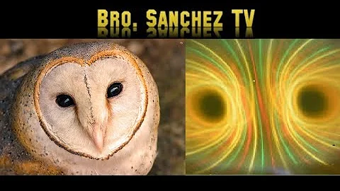 The Language Of The Torus Field (@BROSANCHEZTVOFFICIAL)