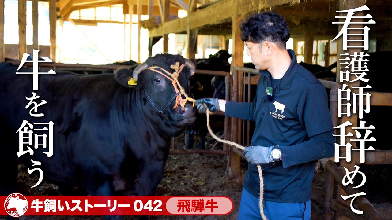 【岐阜：飛騨牛】看護師19年の経歴を捨て「笑顔の牛飼い」に《wasabee 牛飼いストーリー042》