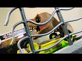 Unboxing FUNKO pop Jurassic Park 1 1381 special edition #funkopop #funko #jurassicpark #jurassic