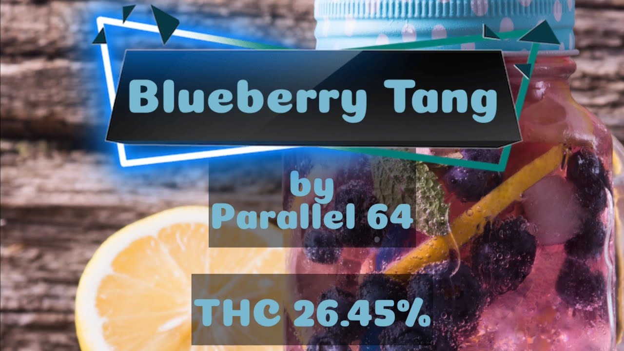 Blueberry Tang Strain Review