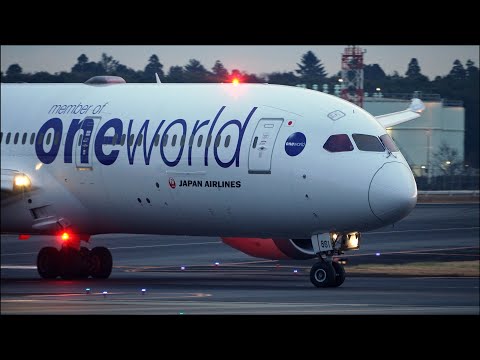 JAL 787-9 日本航空 oneworld ワンワールド JA861J ph JAL 787-9 日本航空 oneworld ワンワールド JA861J ph - メルカリ
