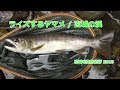 渓流のﾍﾞｽﾄｼｰｽﾞﾝ~宮城の渓~ / みちのく釣りの旅 ﾌﾗｲﾌｨｯｼﾝｸﾞ(4K) Fly Fishing Tohoku-Jp