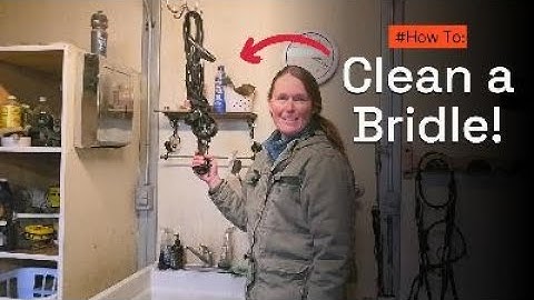 How to Clean a Bridle! Step-by-Step Tack Care 🐴🧼