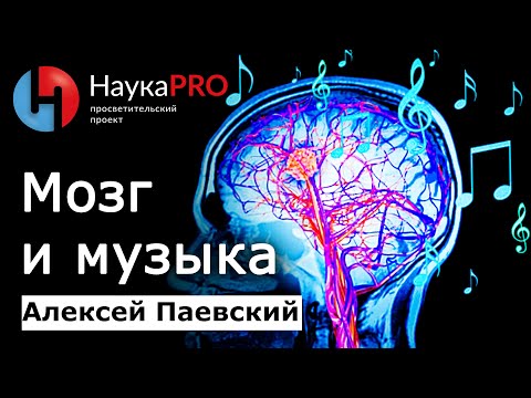 Мозг и музыка: как она влияет на нас | Последние данные – Алексей Паевский | Лекции по медицине