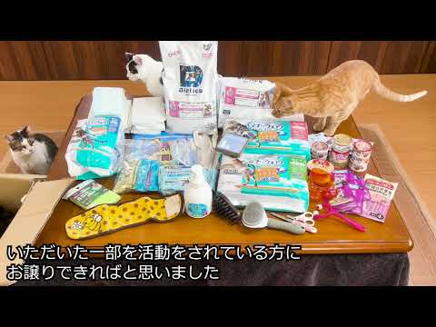 neko18taiki - YouTube