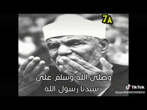 دعاء الشعراوى