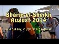 Diving in Sharm-el-Sheikh August 2014