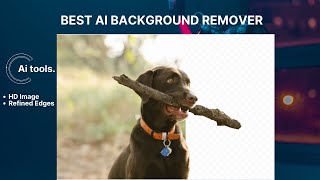 Best AI Background Remover Tools to HD Images