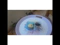 زحمه وتاهو الحبايب