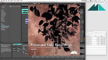 Processed Field Recordings | Sample Pack Walkthrough