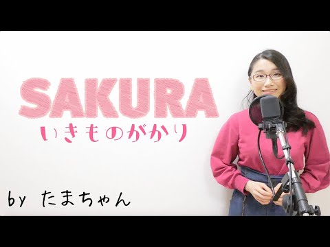 いきものがかり / SAKURA(たまちゃん,Tamachan)【歌詞付(概要欄) / フル(full cover)】