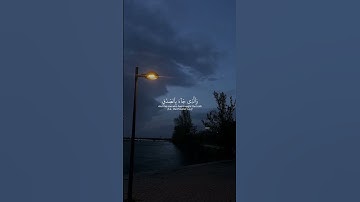 سورة الزمر #ياسر_الدوسري #قرآن #اكسبلور #المصحف #اسئلة_دينية #لايك