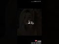 اغنيه شنهي الجمال البيها سحر قلبي 