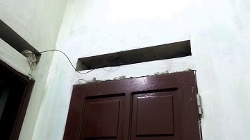 Tập tính của muỗi )))))sản phẩm chống muỗi