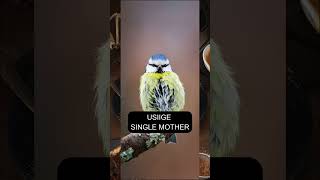 #NDOA ni wito, USIIGE.