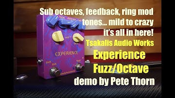 Tsakalis Audio Works Experience Fuzz/Octave pedal,, demo by Pete Thorn