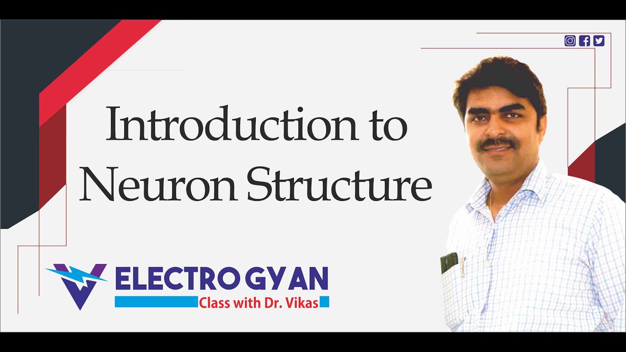 Structure and Function of a Neuron - YouTube