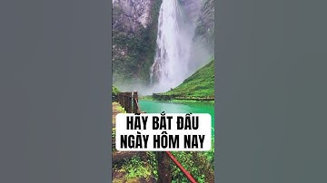 Đừng Tìm Lý Do – Hãy Bắt Đầu Ngay Hôm Nay #trietlysong #motivation #phattrienbanthan