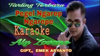 KARAOKE ~PEGEL NGAREP NGAREPE ~ ALY  ZOVANO