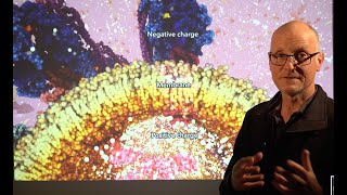 Molecular animation – Tech Talk by Drew Berry wehi.tv (2022)