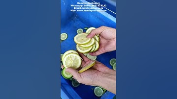 Pressing Type Lemon Chips Slicing Cutting Machine