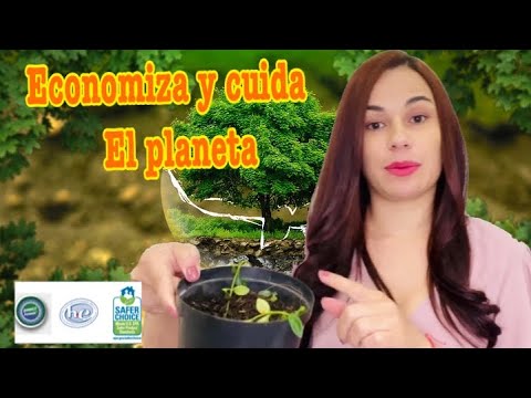 Jabón para ropa