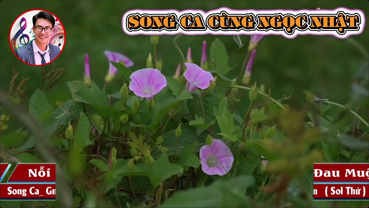 NỔI ĐAU MUỘN MÀNG   KARAOKE SONG CA