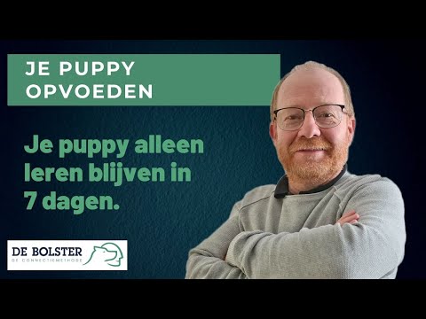 Video: 7 dingen om te overwegen voordat je een andere hond krijgt